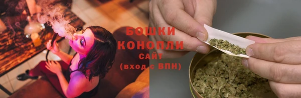 ГАЛЛЮЦИНОГЕННЫЕ ГРИБЫ Бородино