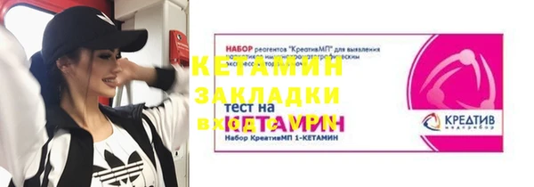 ГАЛЛЮЦИНОГЕННЫЕ ГРИБЫ Бородино