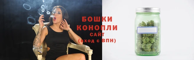 ГАЛЛЮЦИНОГЕННЫЕ ГРИБЫ Бородино