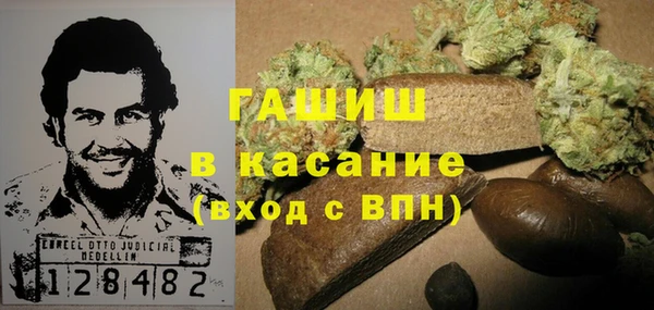 ГАЛЛЮЦИНОГЕННЫЕ ГРИБЫ Бородино