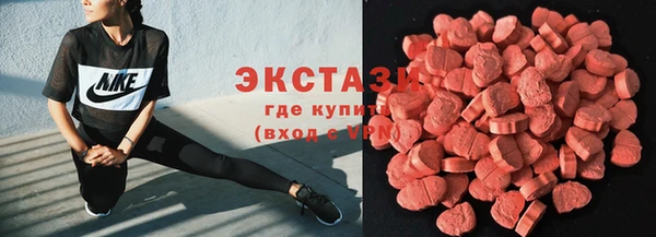 ГАЛЛЮЦИНОГЕННЫЕ ГРИБЫ Бородино