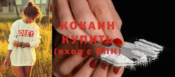 ГАЛЛЮЦИНОГЕННЫЕ ГРИБЫ Бронницы